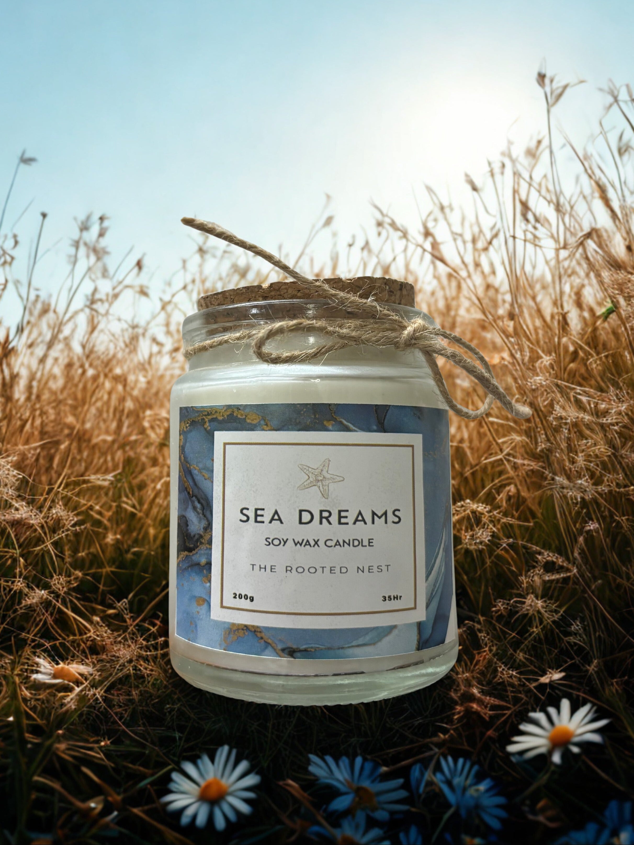 Sea Dreams